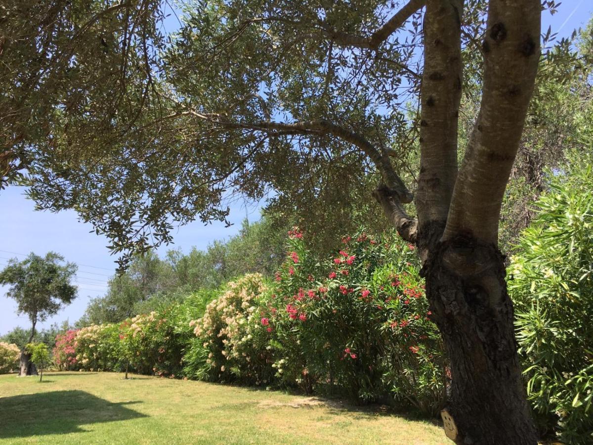 Villa Gecko, Arillas Kavvadades Eksteriør bilde