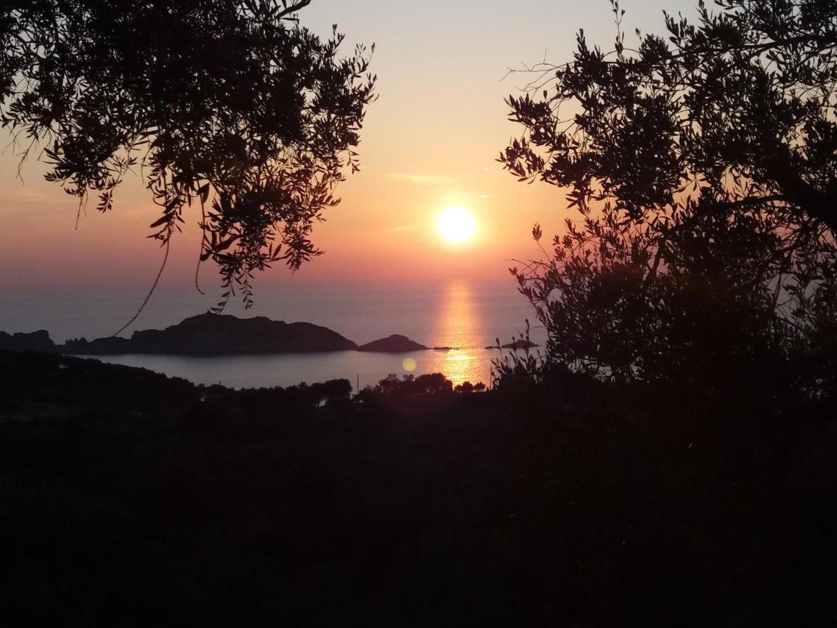 Villa Gecko, Arillas Kavvadades Eksteriør bilde