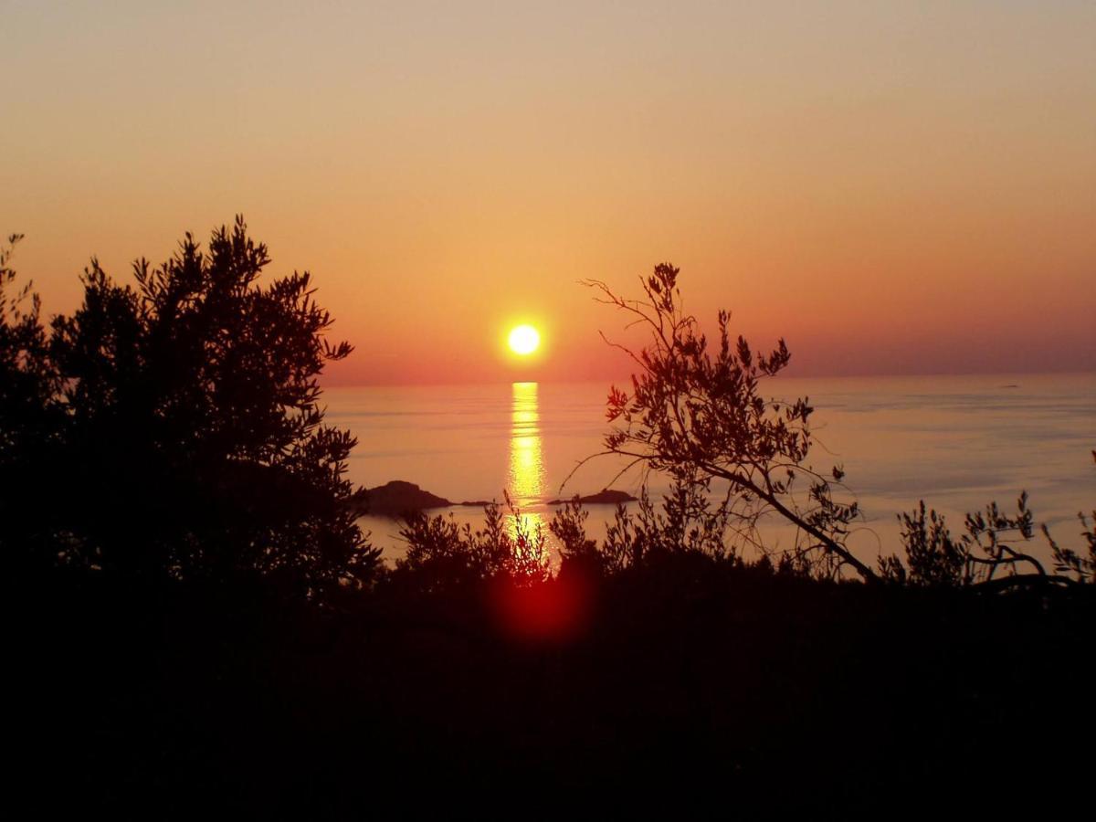 Villa Gecko, Arillas Kavvadades Eksteriør bilde