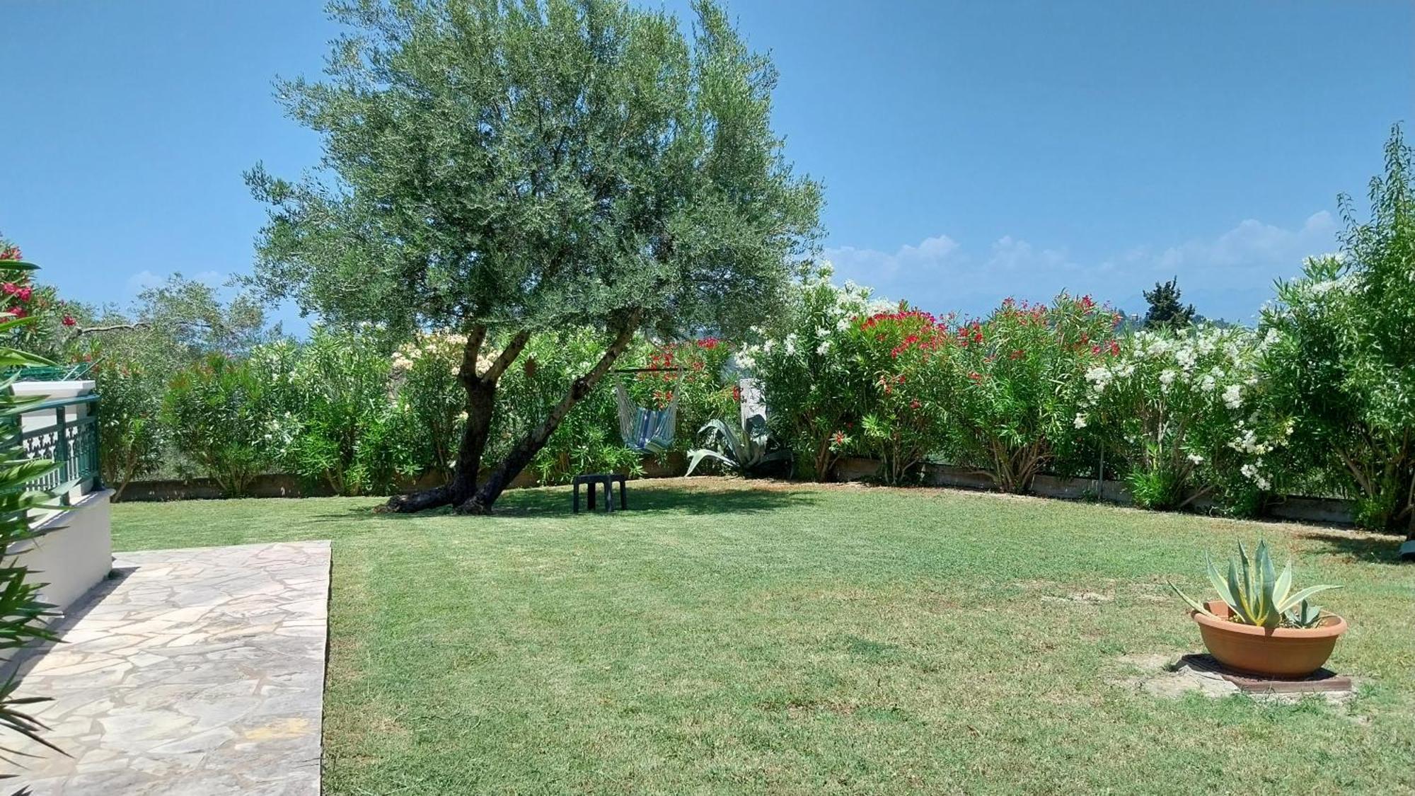 Villa Gecko, Arillas Kavvadades Eksteriør bilde