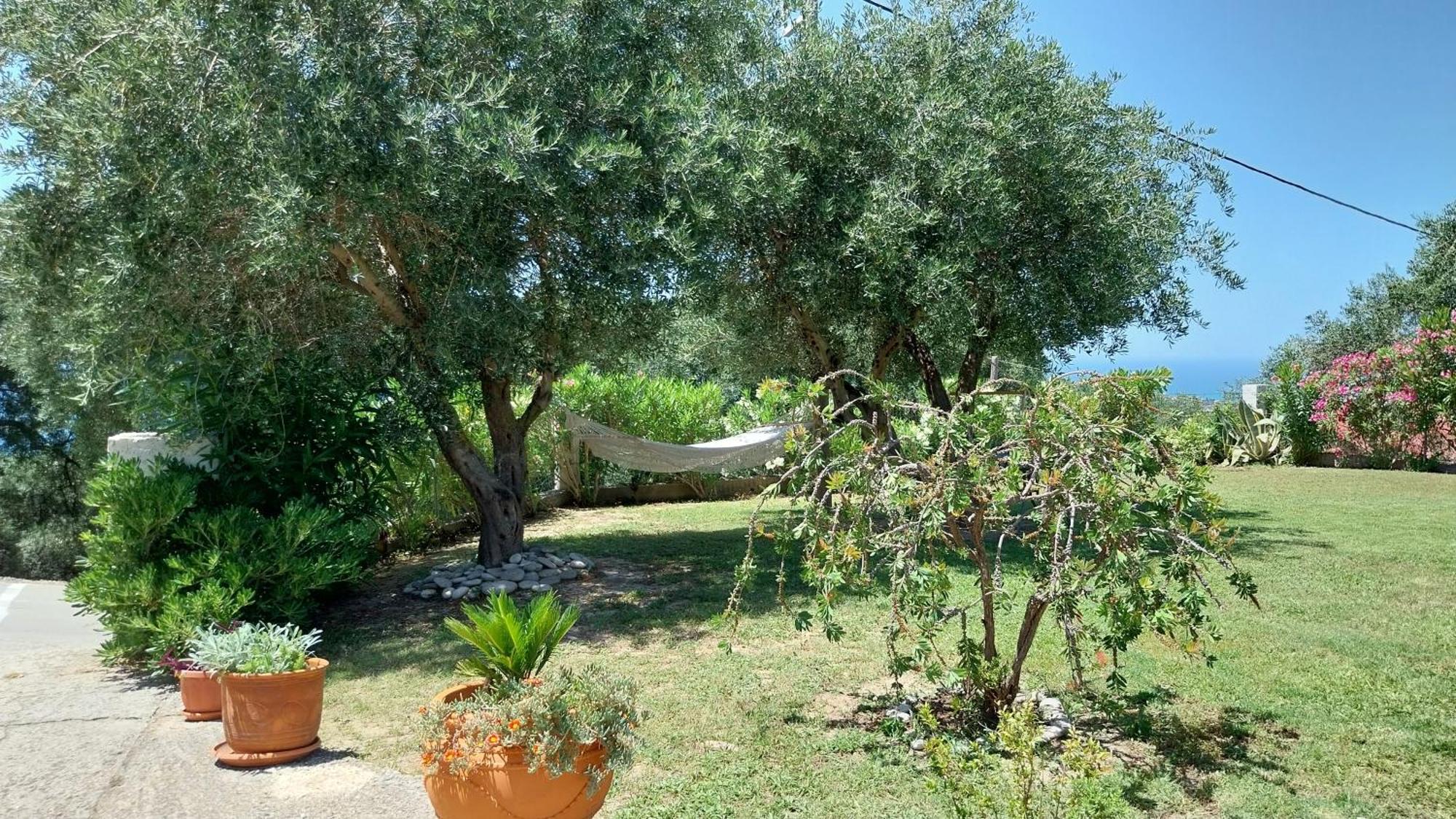 Villa Gecko, Arillas Kavvadades Eksteriør bilde